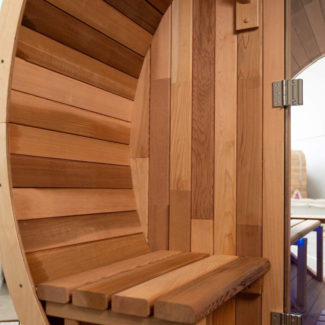 Wooden sauna with curved bench and open door